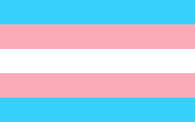 Journée de la visibilité trans : de l’histoire des pionnières à la dépathologisation